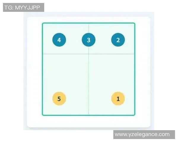 上海排球队引领最新排球战术十大趋势解析与应用技巧分享 上海排球队引领最新排球战术十大趋势解析与应用技巧分享